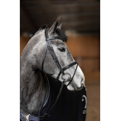 Kombiniertes Trensenzaum Painted HFI Master Schwarz