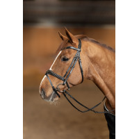 Kombiniertes Reithalfter Wavy HFI Master Schwarz