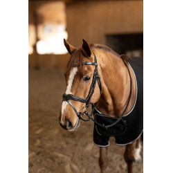 Kombiniertes Reithalfter Wavy HFI Master Schwarz Kombiniertes Reithalfter Wavy HFI Master Schwarz