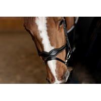 Kombiniertes Reithalfter Wavy HFI Master Schwarz