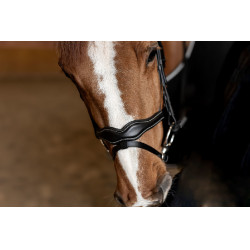 Kombiniertes Reithalfter Wavy HFI Master Schwarz Kombiniertes Reithalfter Wavy HFI Master Schwarz