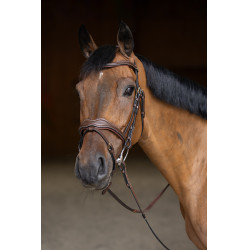 Kombiniertes Reithalfter Wavy HFI Master Braun