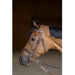 Kombiniertes Reithalfter Wavy HFI Master Braun