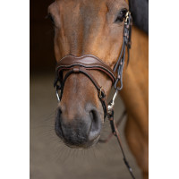 Kombiniertes Reithalfter Wavy HFI Master Schwarz Kombiniertes Reithalfter Wavy HFI Master Schwarz