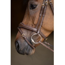 Kombiniertes Reithalfter Wavy HFI Master Braun