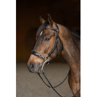 Hackamore-Zaumzeug HFI Master