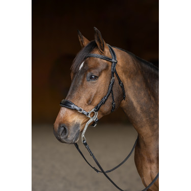 Hackamore-Zaumzeug HFI Master