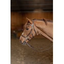 Hackamore-Zaumzeug HFI Master
