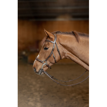 Hackamore-Zaumzeug HFI Master