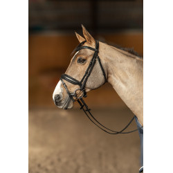 Bridon HFI Master Pull-Back Edges