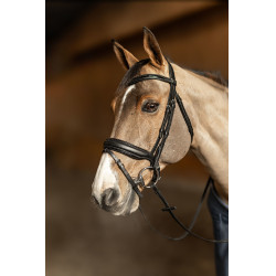 Bridon HFI Master Pull-Back Edges Schwarz