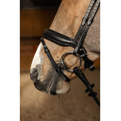 Bridon HFI Master Pull-Back Edges Schwarz