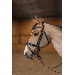 Reithalfter Pull-back Verona HFI Master Pro Line