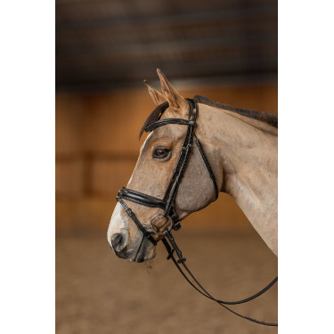Reithalfter Pull-back Verona HFI Master Pro Line