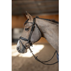 Runder Zaum HFI Master Schwarz
