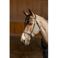 Gebisslose Trense Freedom HFI Master Schwarz Gebisslose Trense Freedom HFI Master Schwarz