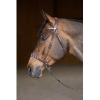 Gebisslose Trense Freedom HFI Master Braun