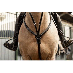 Brustblatt Arezzo HFI Master Pro Line