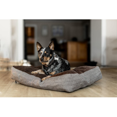 Rechteckiges Hundekissen HFI