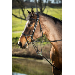 HFI Master Leder-Fortzeug