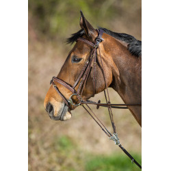 HFI Master Leder-Fortzeug Braun