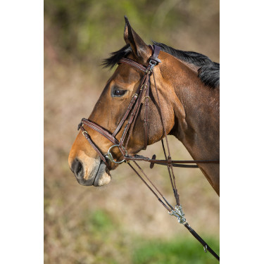 HFI Master Leder-Fortzeug Braun