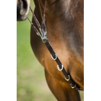 HFI Master Leder-Fortzeug Braun HFI Master Leder-Fortzeug Braun