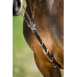 HFI Master Leder-Fortzeug Braun