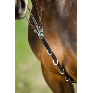 HFI Master Leder-Fortzeug Braun