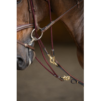 Gogue HFI Master Braun Gogue HFI Master Braun