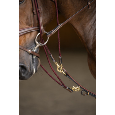 Gogue HFI Master Braun