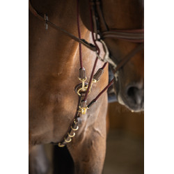 Gogue HFI Master Braun