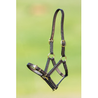 HFI Master Lederhalfter Braun