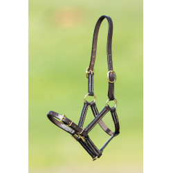 HFI Master Lederhalfter Braun