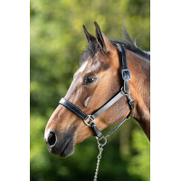 HFI Master Lederhalfter mit doppelter Verstellmöglichkeit Schwarz HFI Master Lederhalfter mit doppelter Verstellmöglichkeit Schwarz