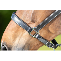 HFI Master Lederhalfter mit doppelter Verstellmöglichkeit Schwarz