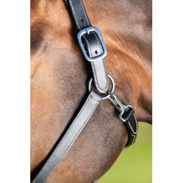 HFI Master Lederhalfter mit doppelter Verstellmöglichkeit Schwarz