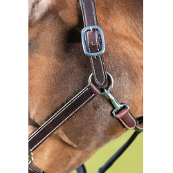 HFI Master Lederhalfter mit doppelter Verstellmöglichkeit Braun HFI Master Lederhalfter mit doppelter Verstellmöglichkeit Braun