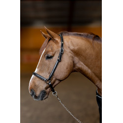 Lederhalfter Little Groom HFI Master Lederhalfter Little Groom HFI Master