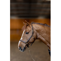 Lederhalfter Little Groom HFI Master Schwarz
