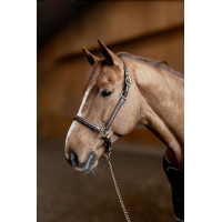 Lederhalfter Little Groom HFI Master Braun
