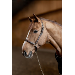 Lederhalfter Little Groom HFI Master Braun