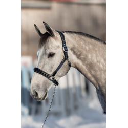 Halfter Leder Nylon Mixed HFI Master