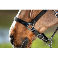 Neoprenhalfter Smart + Nylonführstrick HFI Master Schwarz / schwarz