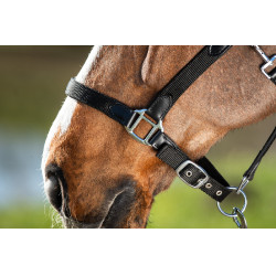Neoprenhalfter Smart + Nylonführstrick HFI Master