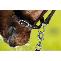 Neoprenhalfter Smart + Nylonführstrick HFI Master Bordeaux / Braun Neoprenhalfter Smart + Nylonführstrick HFI Master Bordeaux / Braun