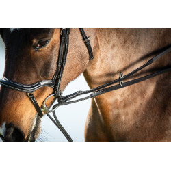 Deutsche Zügel Leder + Seil HFI Master Schwarz