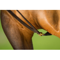 Deutsche Zügel Leder HFI Master Braun