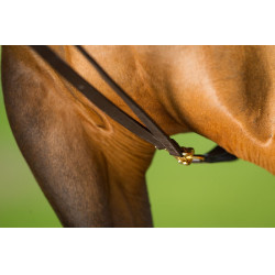 Deutsche Zügel Leder HFI Master Braun Deutsche Zügel Leder HFI Master Braun