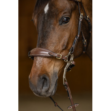 Set Nasenriemen Kinnkette Hackamore HFI Master Braun Set Nasenriemen Kinnkette Hackamore HFI Master Braun